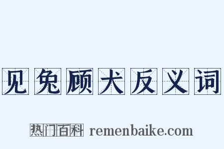 见兔顾犬反义词是什么意思的图片